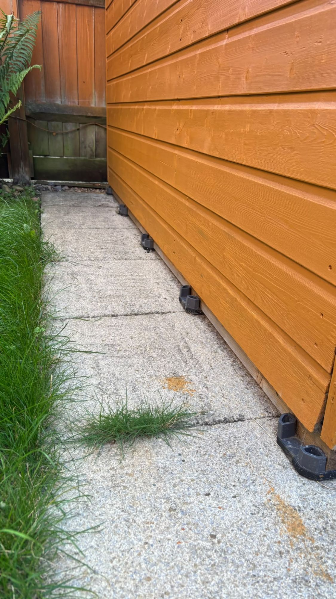 The side of an orange shed raised on black plastic spacers along a concrete path