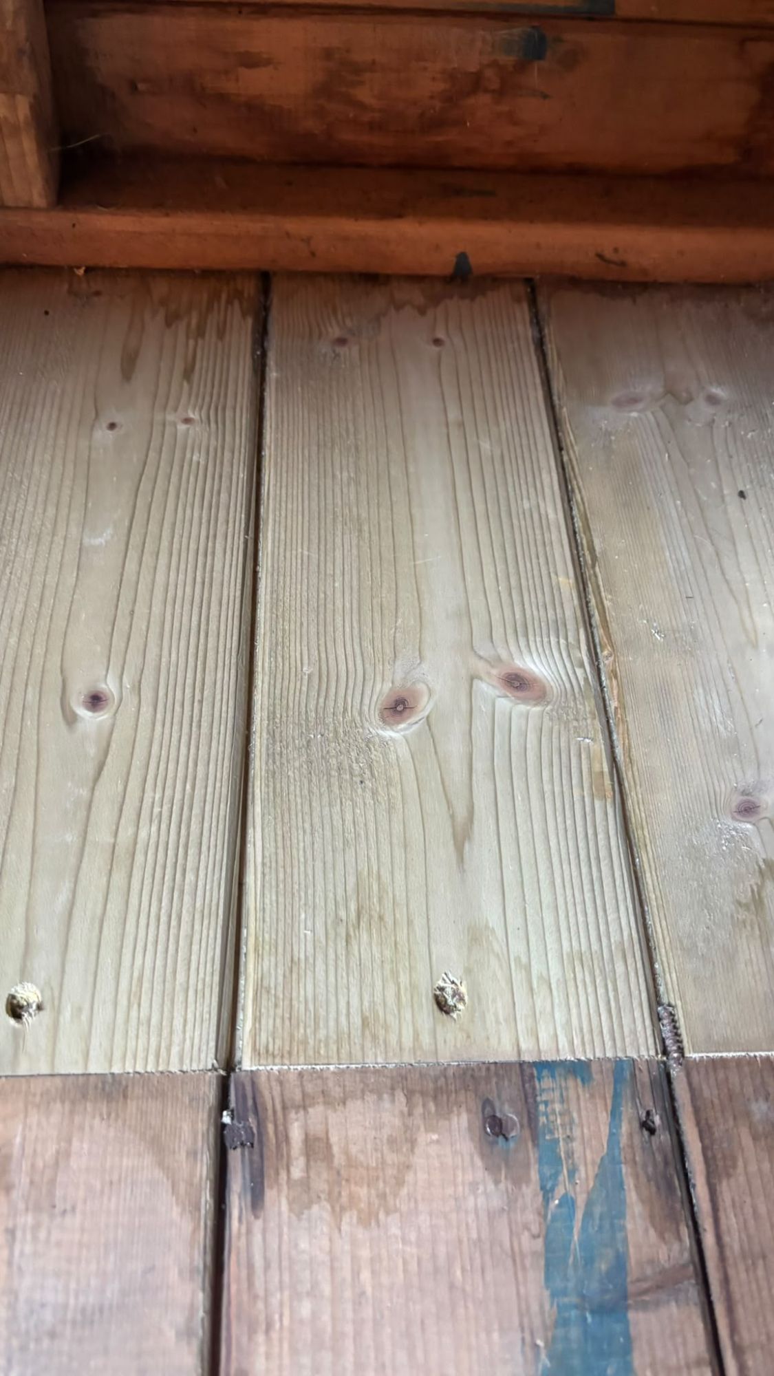 New pale timber boards let into the old shed floor
