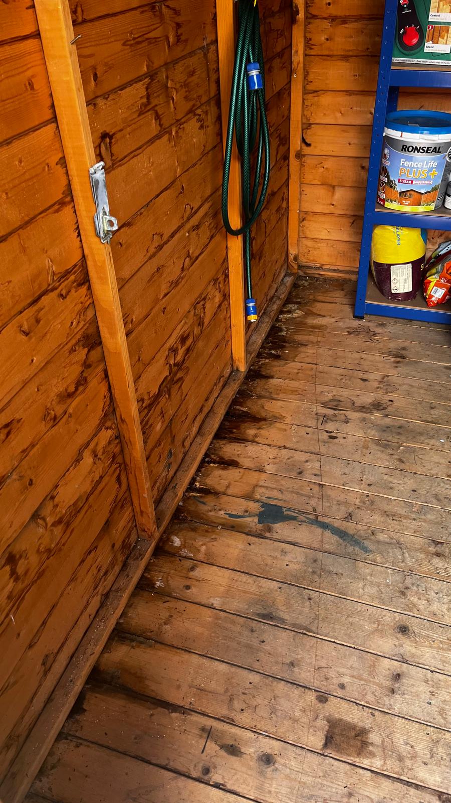Inside a shed before the repair, with water stains across the floor boards